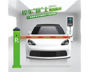 邹城RG-CW系列车位小道闸
